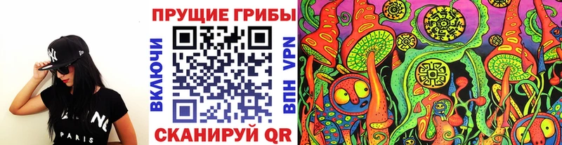 omg зеркало  Ирбит  Псилоцибиновые грибы MAGIC MUSHROOMS 